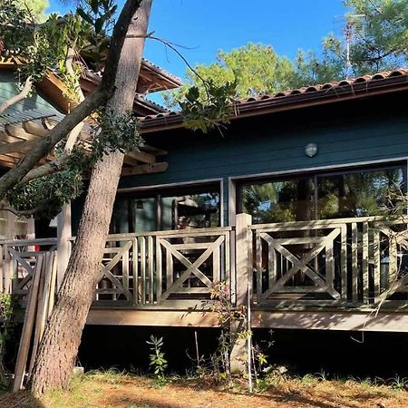ยามิน่า ลอดจ์ Villa เลเฌอ-แกป-เฟร์เร ภายนอก รูปภาพ